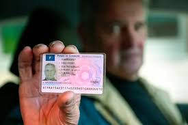 Client satisfaits du permis