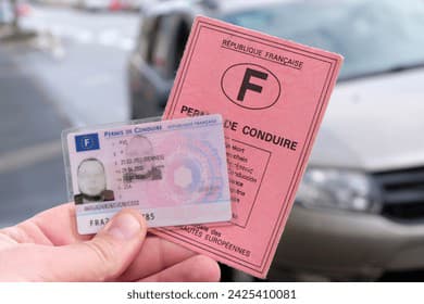 Client satisfaits du permis